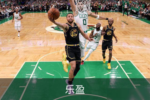 乐盈公司简介